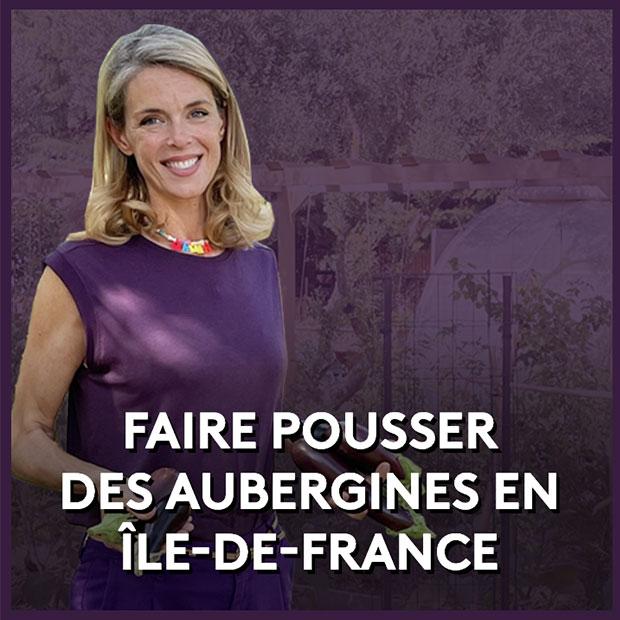 Faire pousser des aubergines en Ile-de-France