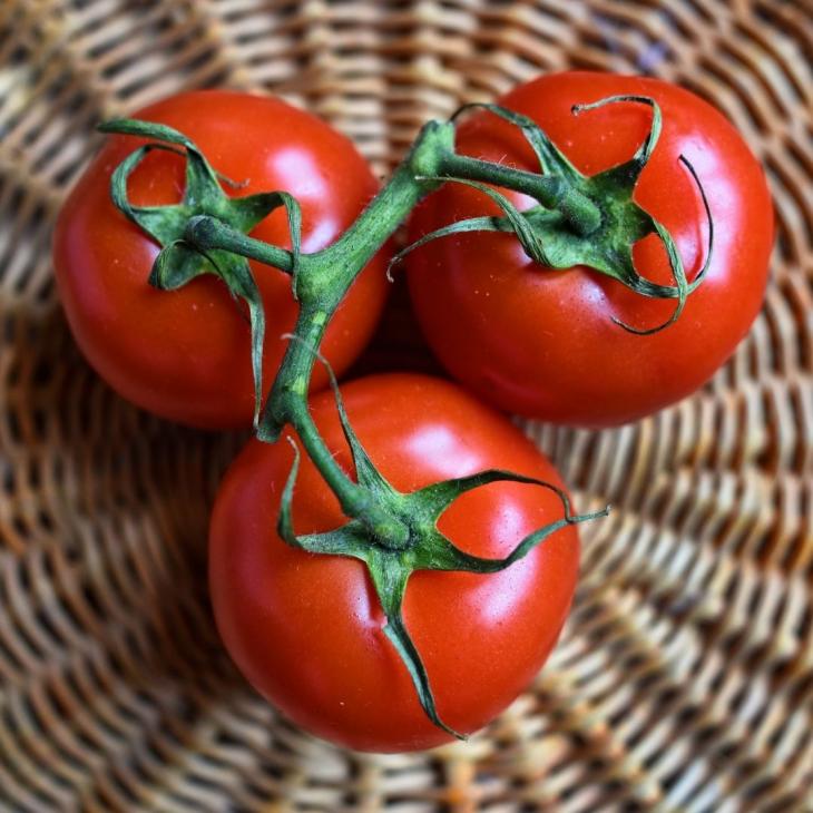 La tomate : reine de l'été