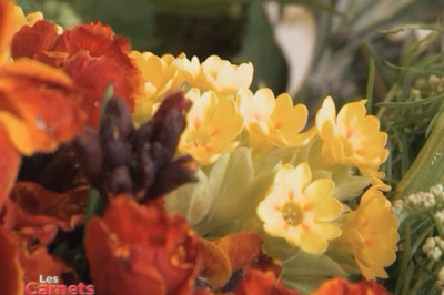 Les saveurs des fleurs – 22 février 2020