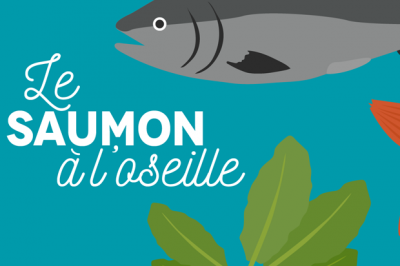 LE SAUMON A L’OSEILLE - 10 Septembre 2016