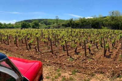 PAYSANS D’AUJOURD’HUI – FERME DE LA RUCHOTTE