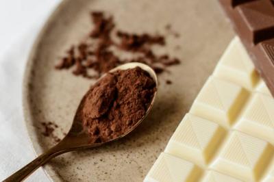 CHOISIR LE CHOCOLAT