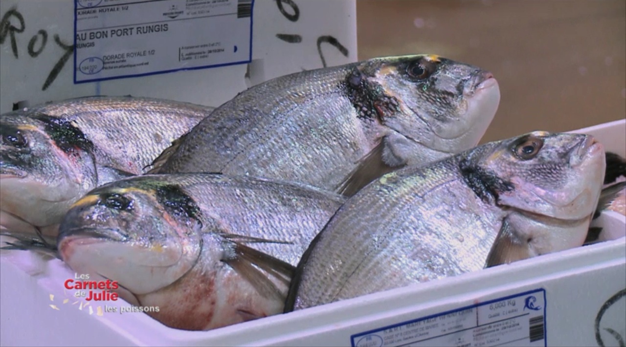 Poissons à la carte – 2 janvier Poissons à la carte – 2 janvier