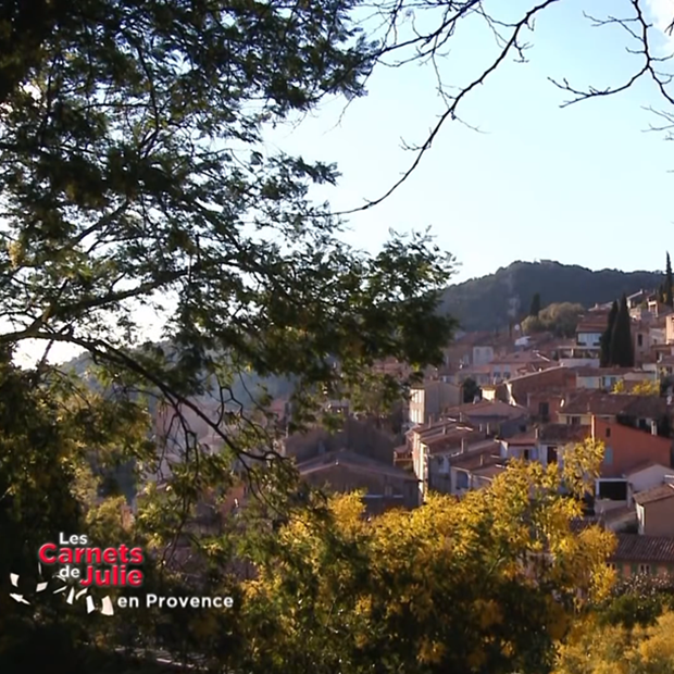 Le Massif des Maures - 6 février 2016 Le Massif des Maures - 6 février 2016