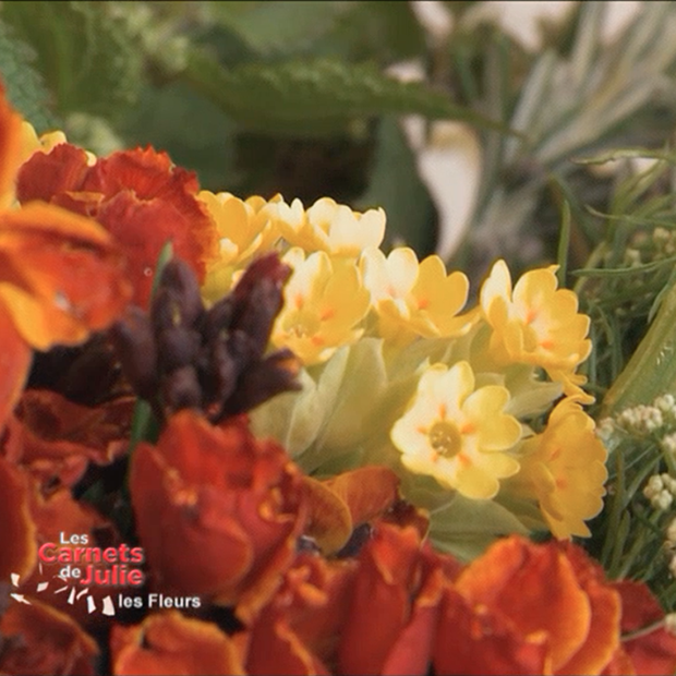 Les saveurs des fleurs – 22 février 2020 Les saveurs des fleurs – 22 février 2020