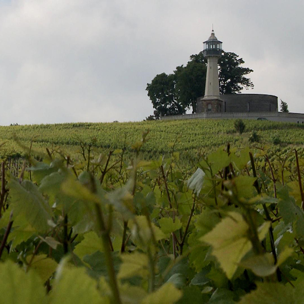 Les montagnes de Reims - 28 juin 2016 Les montagnes de Reims - 28 juin 2016