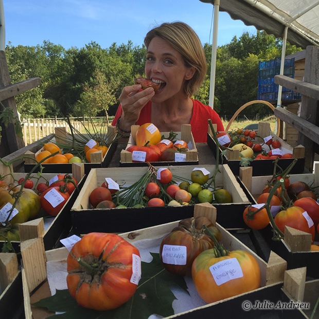 Le conservatoire de la tomate à Landiras Le conservatoire de la tomate à Landiras