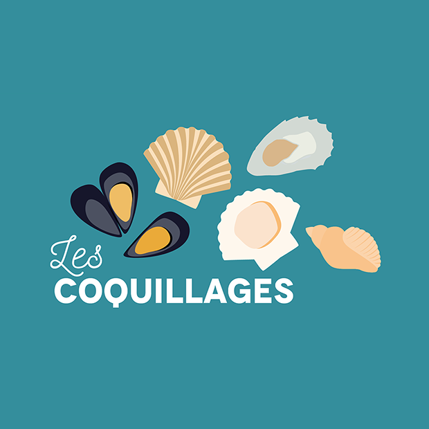COQUILLAGES A LA CARTE - 1 avril 2017 COQUILLAGES A LA CARTE - 1 avril 2017
