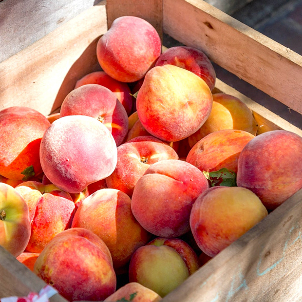 3 recettes fruitées pour prolonger l’été 3 recettes fruitées pour prolonger l’été