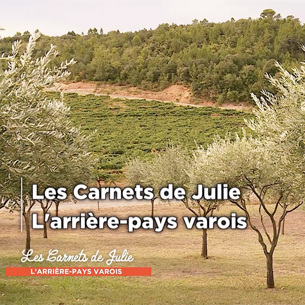 L’ARRIÈRE-PAYS VAROIS - samedi 07 mars 2020 L’ARRIÈRE-PAYS VAROIS - samedi 07 mars 2020