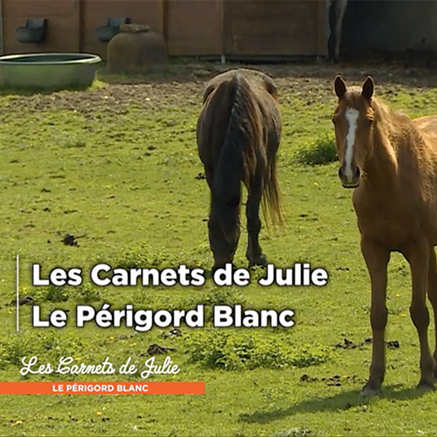 LE PÉRIGORD BLANC - 3 novembre 2018 LE PÉRIGORD BLANC - 3 novembre 2018