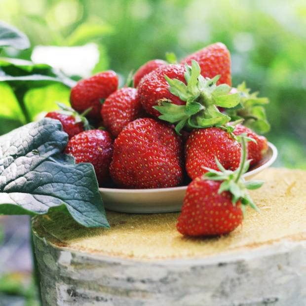 COUP DE PROJECTEUR SUR LA FRAISE COUP DE PROJECTEUR SUR LA FRAISE