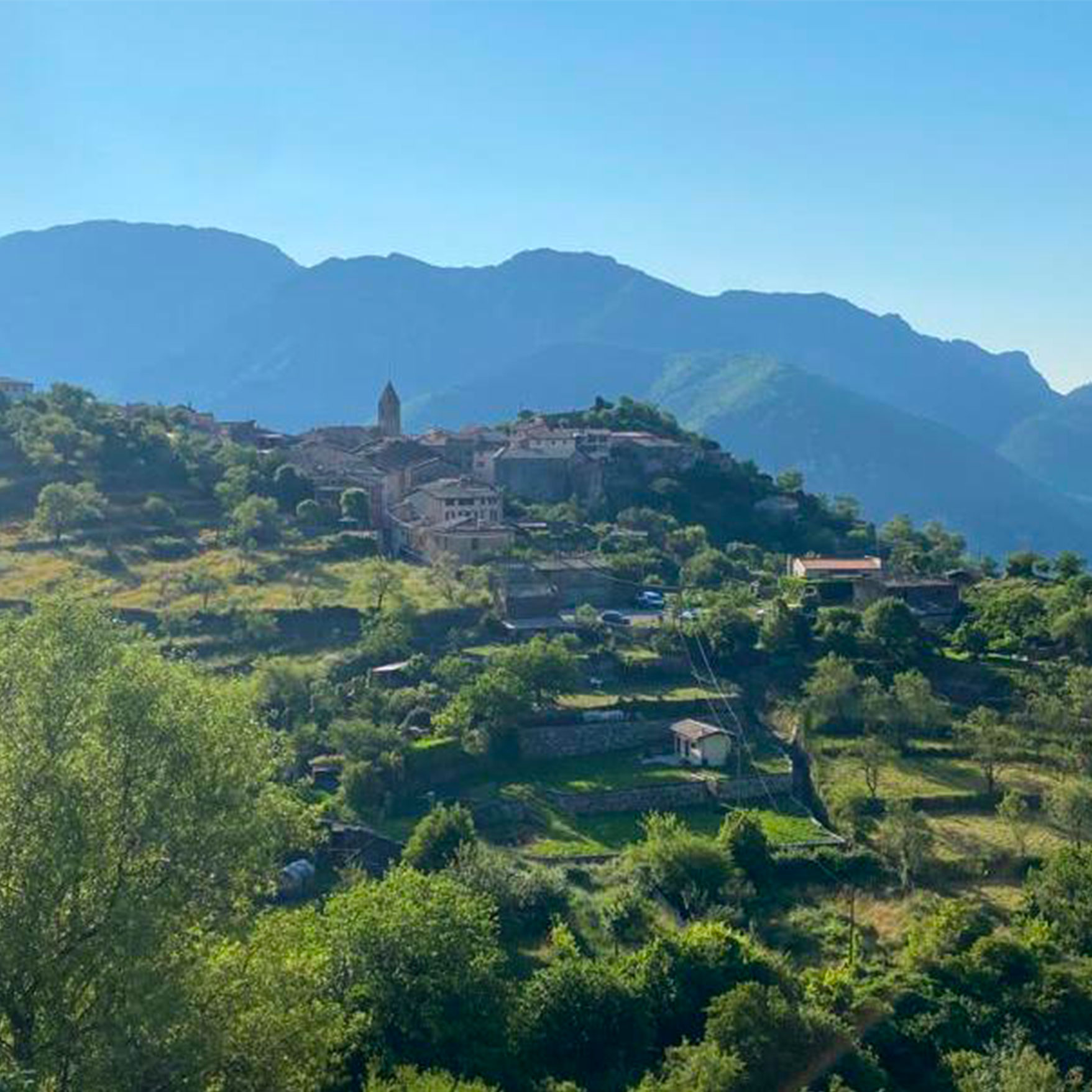PAYSANS D’AUJOURD’HUI AUX PORTES DU MERCANTOUR PAYSANS D’AUJOURD’HUI AUX PORTES DU MERCANTOUR