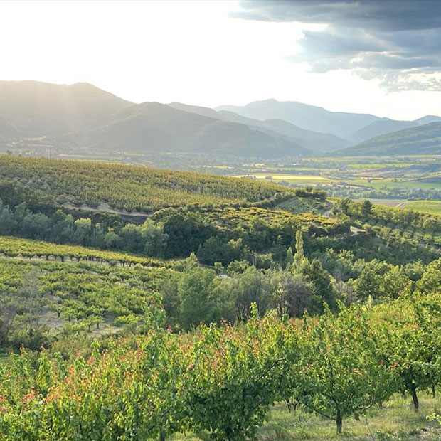 PAYSANS D'AUJOURD'HUI DANS LA DRÔME PROVENÇALE PAYSANS D'AUJOURD'HUI DANS LA DRÔME PROVENÇALE