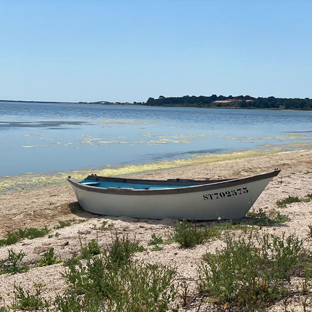 PAYSANS D'AUJOURD'HUI DANS L'HÉRAULT PAYSANS D'AUJOURD'HUI DANS L'HÉRAULT
